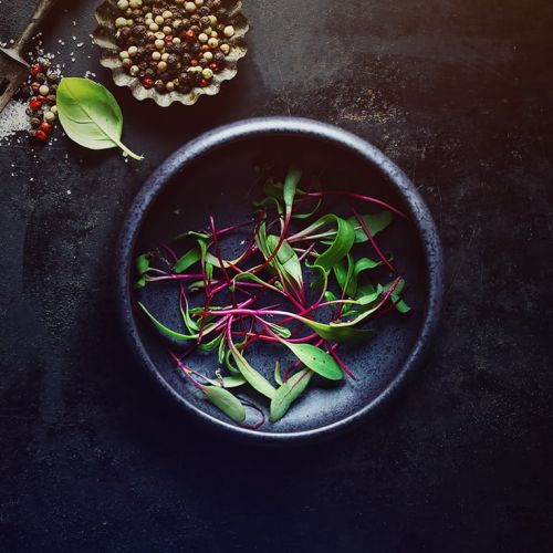 Top down view of beets bulls blood microgreens in a white bowl