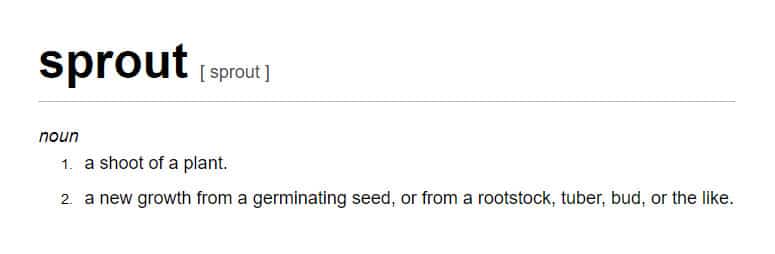Dictionary.com Definition Of The Word Sprout