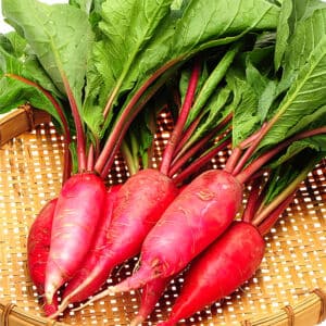 Mature china rose radish in a woven basket