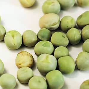 Close up of green pea seeds
