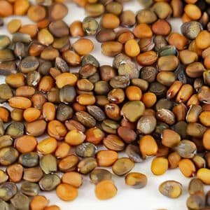 Close up of arugula/rocket seeds