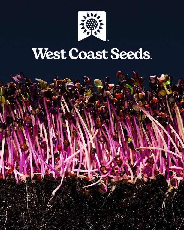 West Coast Seeds Info Card