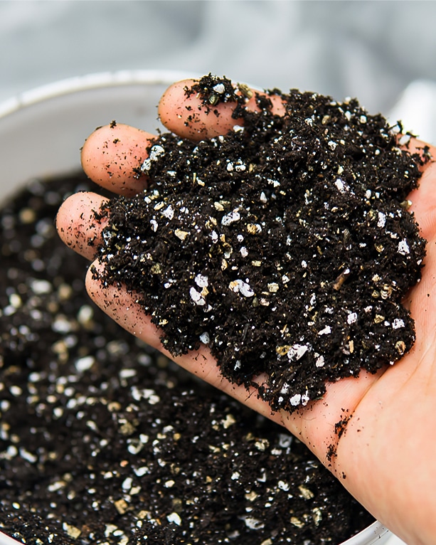 Close up of hand holding a mixture of soil, perlite and vermiculite.