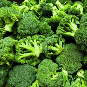 pile of harvested mature broccoli