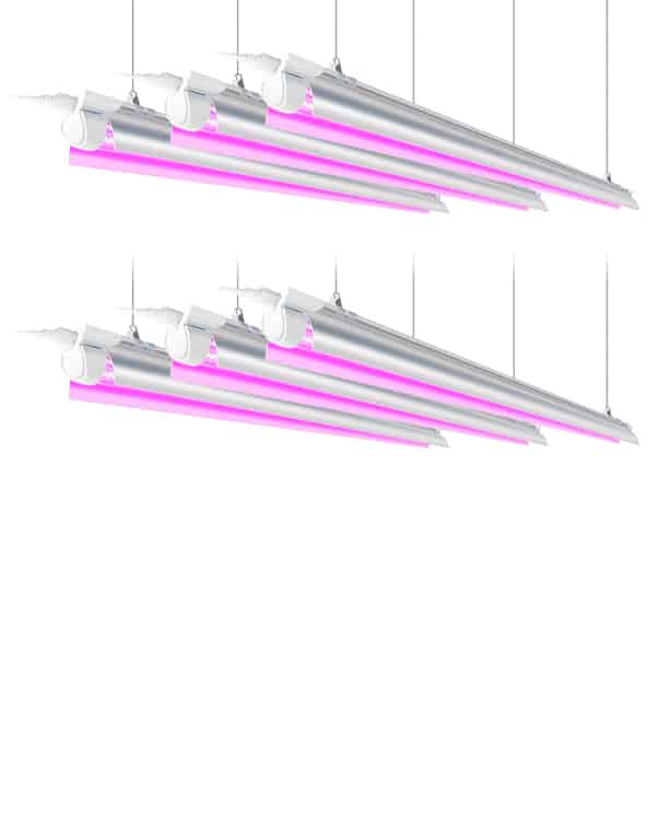 Barrina LED Grow Light, 252W