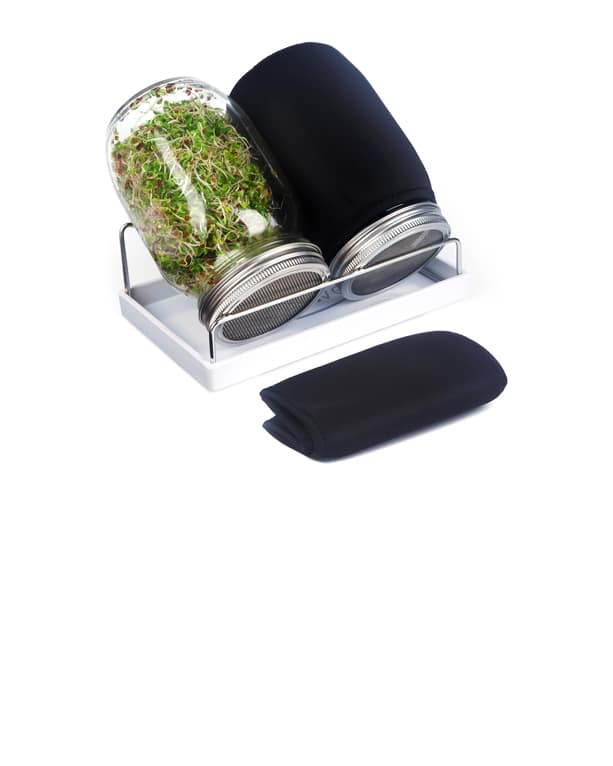 Sprouting jar kit with mesh lids for drainage